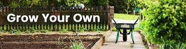 Grow-Your-Own